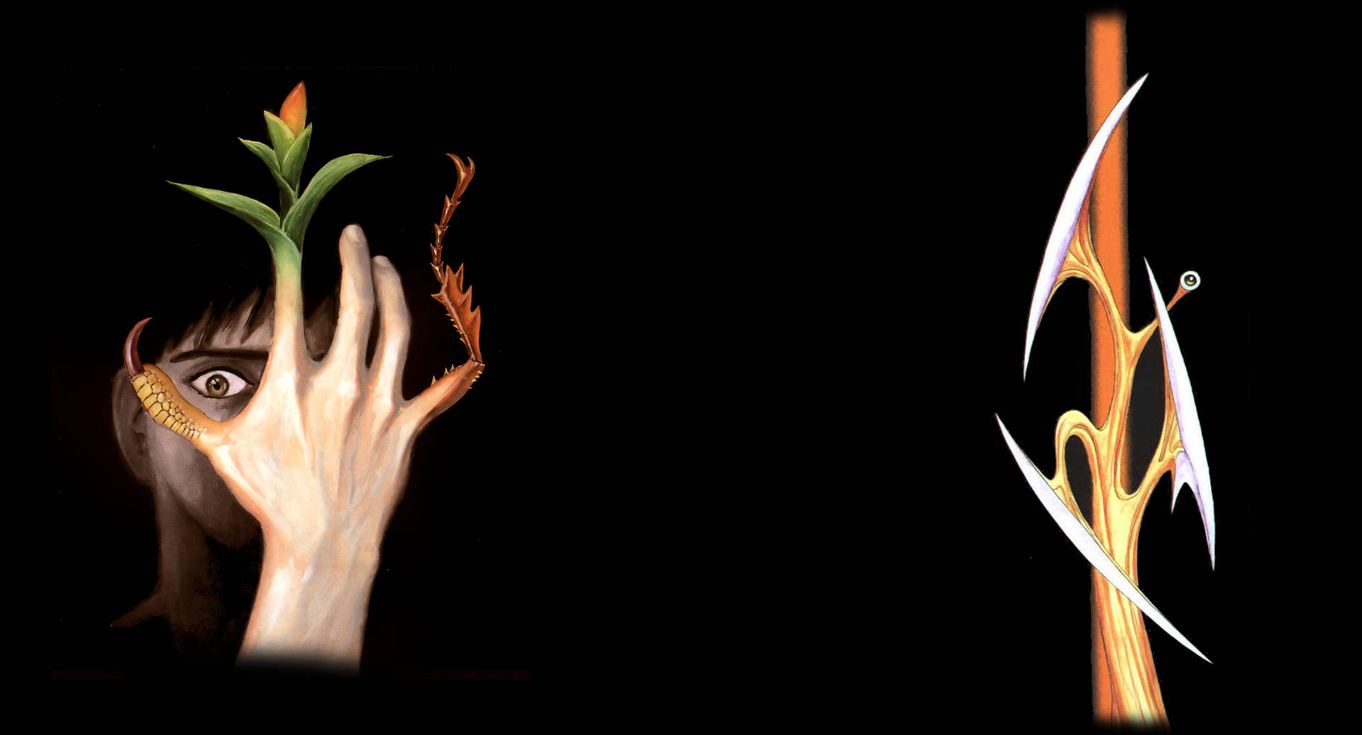 Parasyte In A Black Setting Background