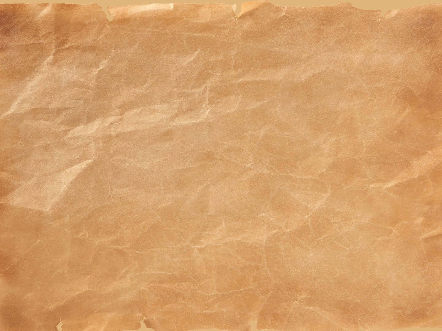 Parchment Background With Creases And Folds