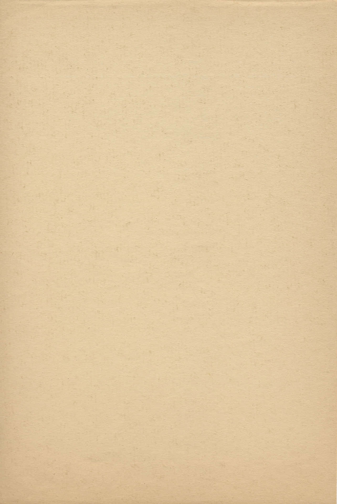 Parchment Background In Light Brown Color