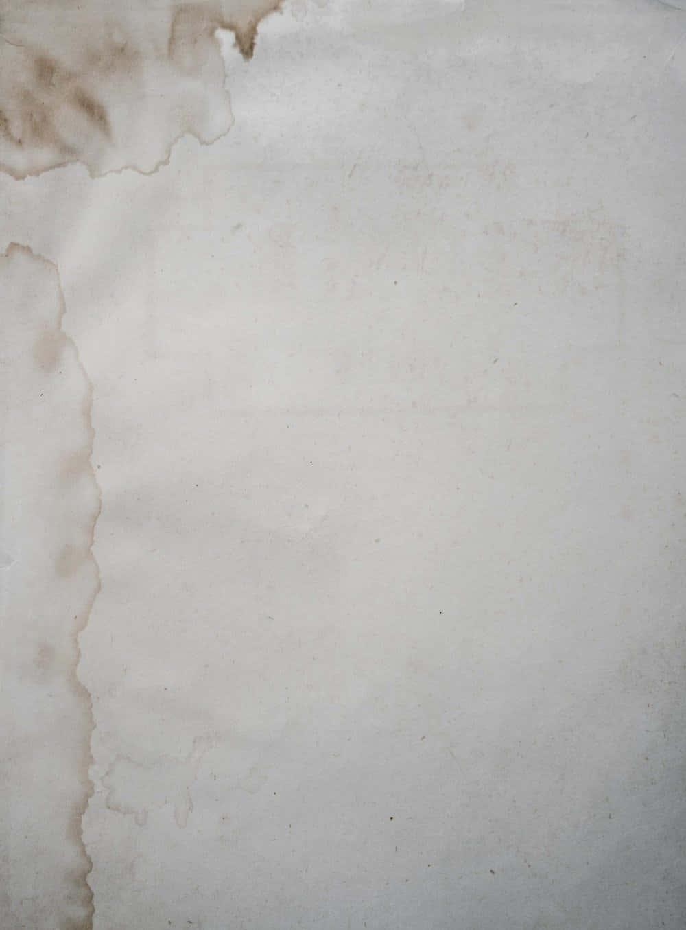 Parchment Paper Background Light Gray Background