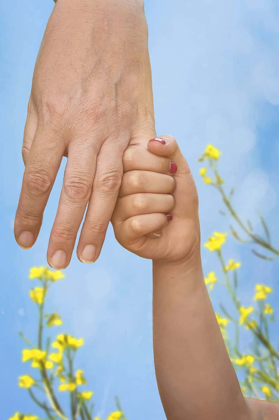 Parent Child Hand Hold Sky Background Wallpaper