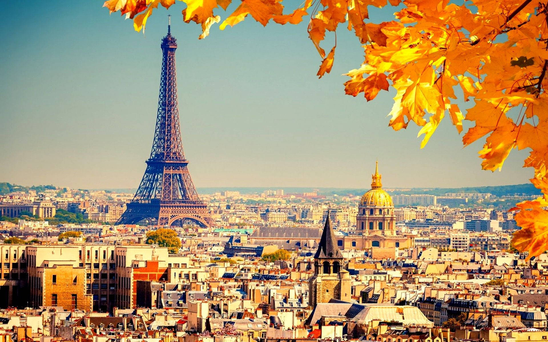 Paris Autumn Leaves Wallpaper