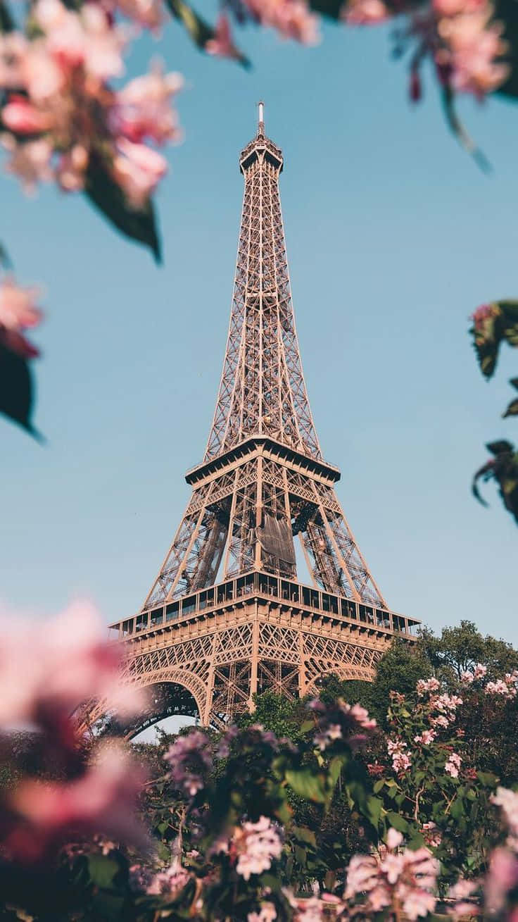 Denvackra Eiffeltornet Upplyst I En Solnedgångshimmel I Staden Paris.