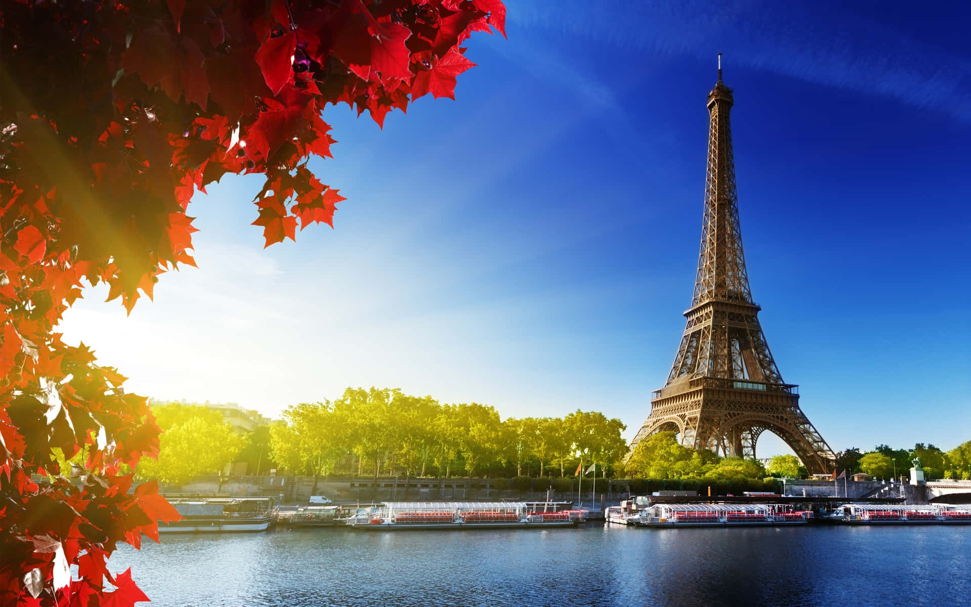The stunning Eiffel Tower standing tall over the City of Lights, Paris, in all its majesty.