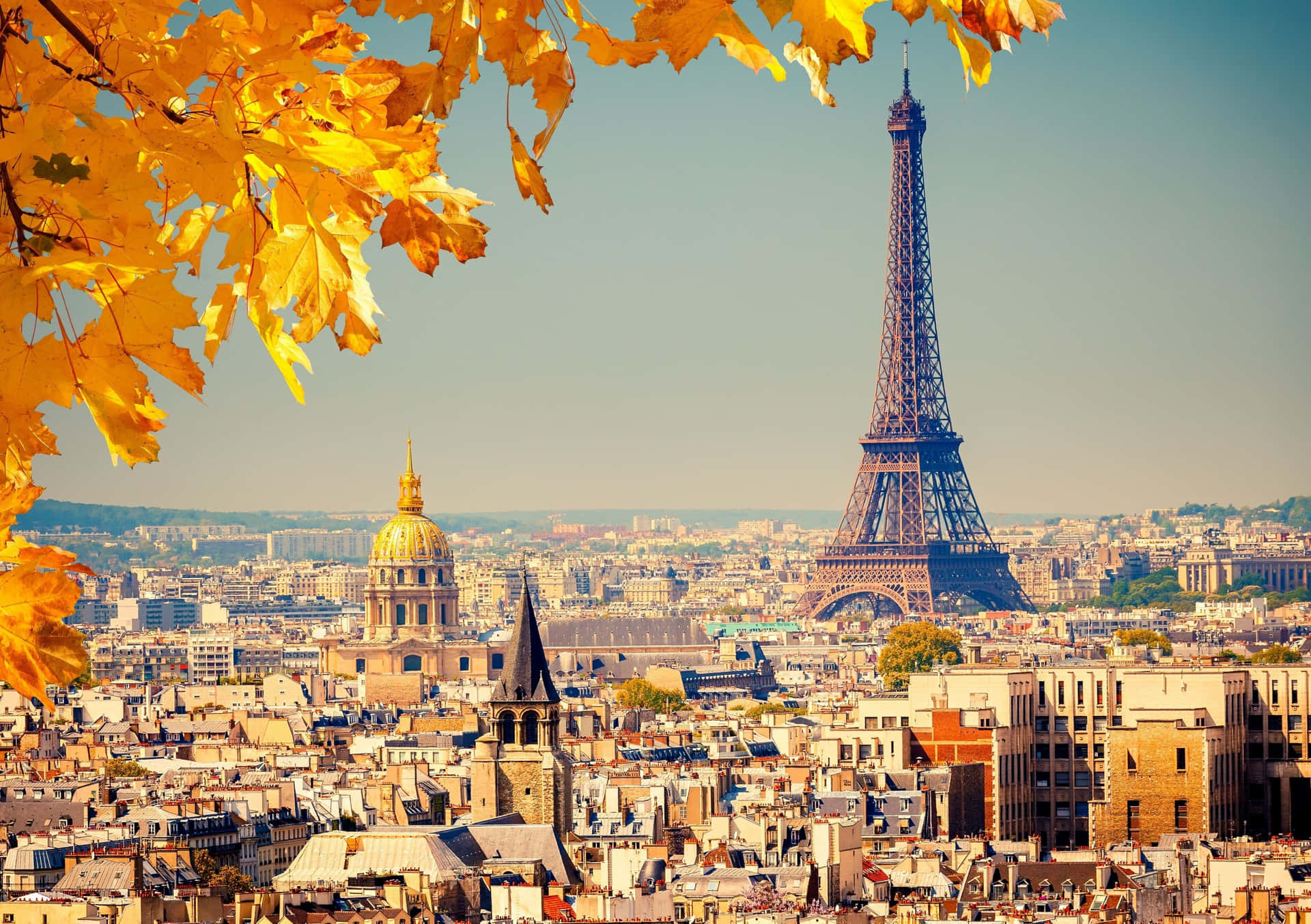 “Explore the Charm of Paris”