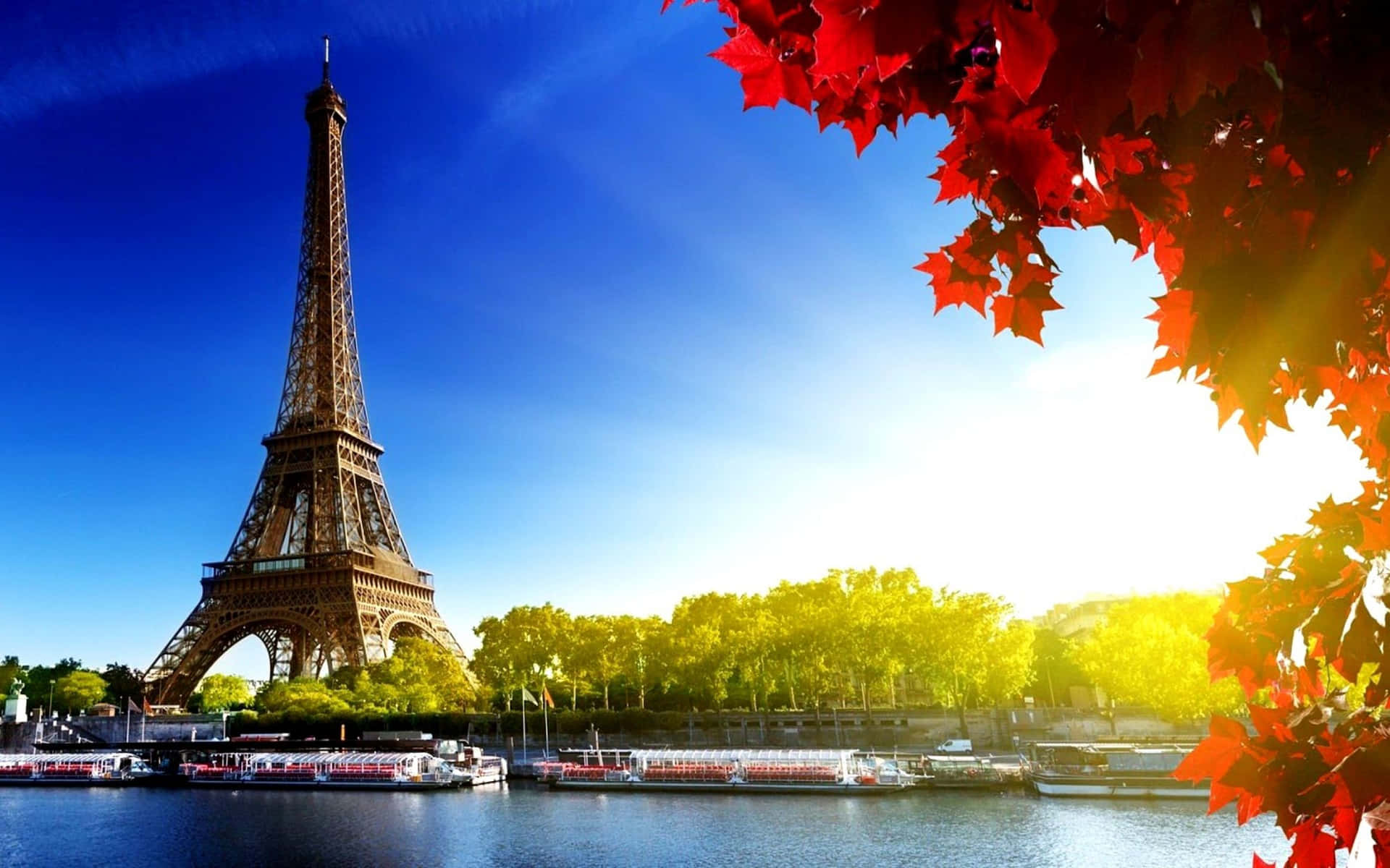 Experience the beauty of Paris from your desktop. Wallpaper