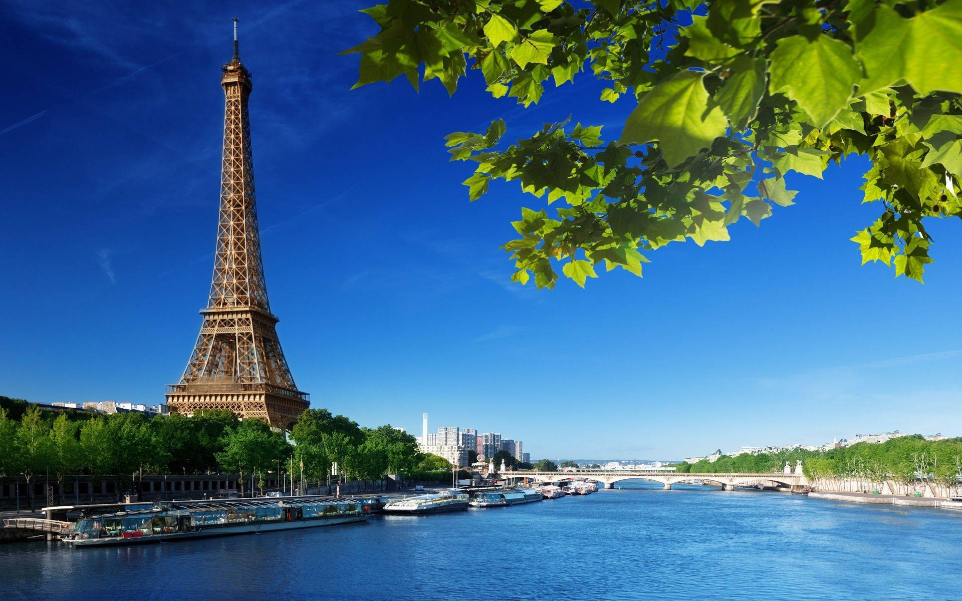 Torreeiffel De Paris Em Dia Claro Papel de Parede