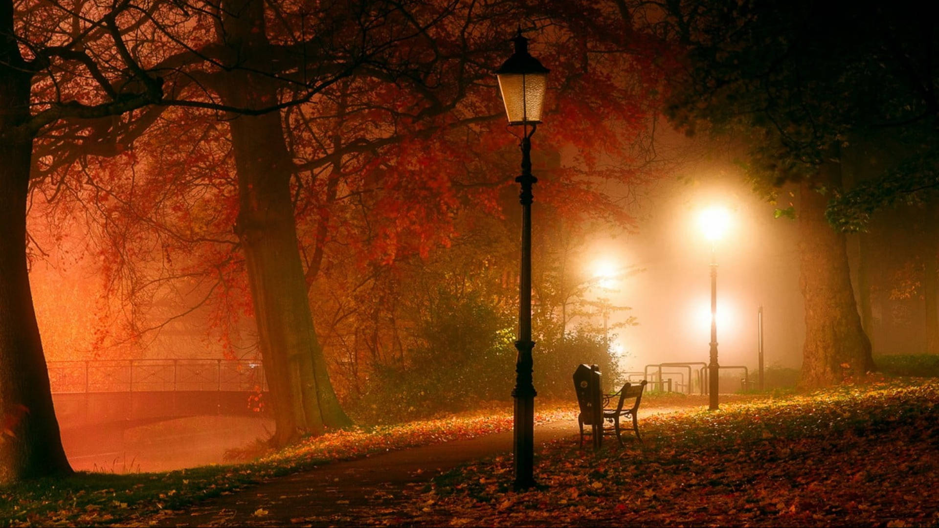 Parkenpå Natten Under Hösten Macbook Wallpaper