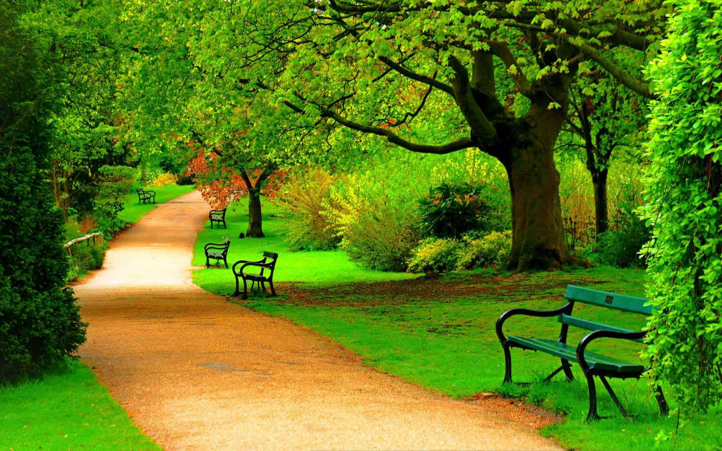 Relishing the beauty of nature in a peaceful park
