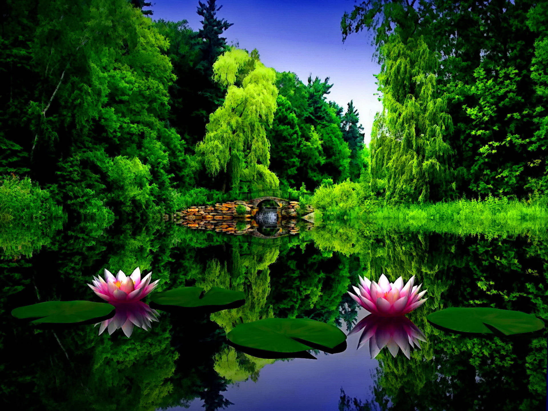 Park Lotus And Lily Pads Wallpaper