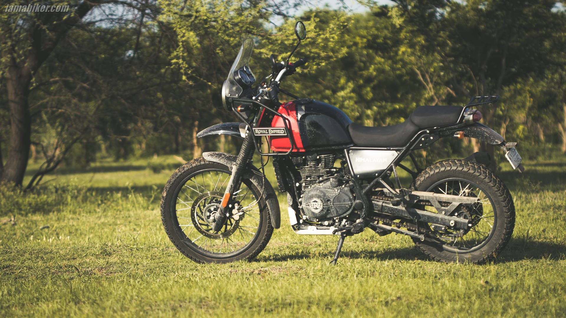 Parked Himalayan Bike On Grass Background