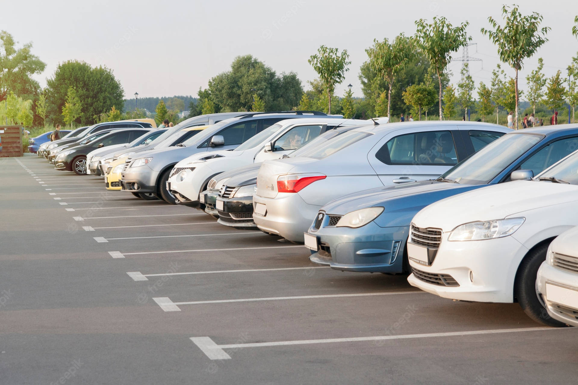 Parking Space With Lined-Up Cars Wallpaper