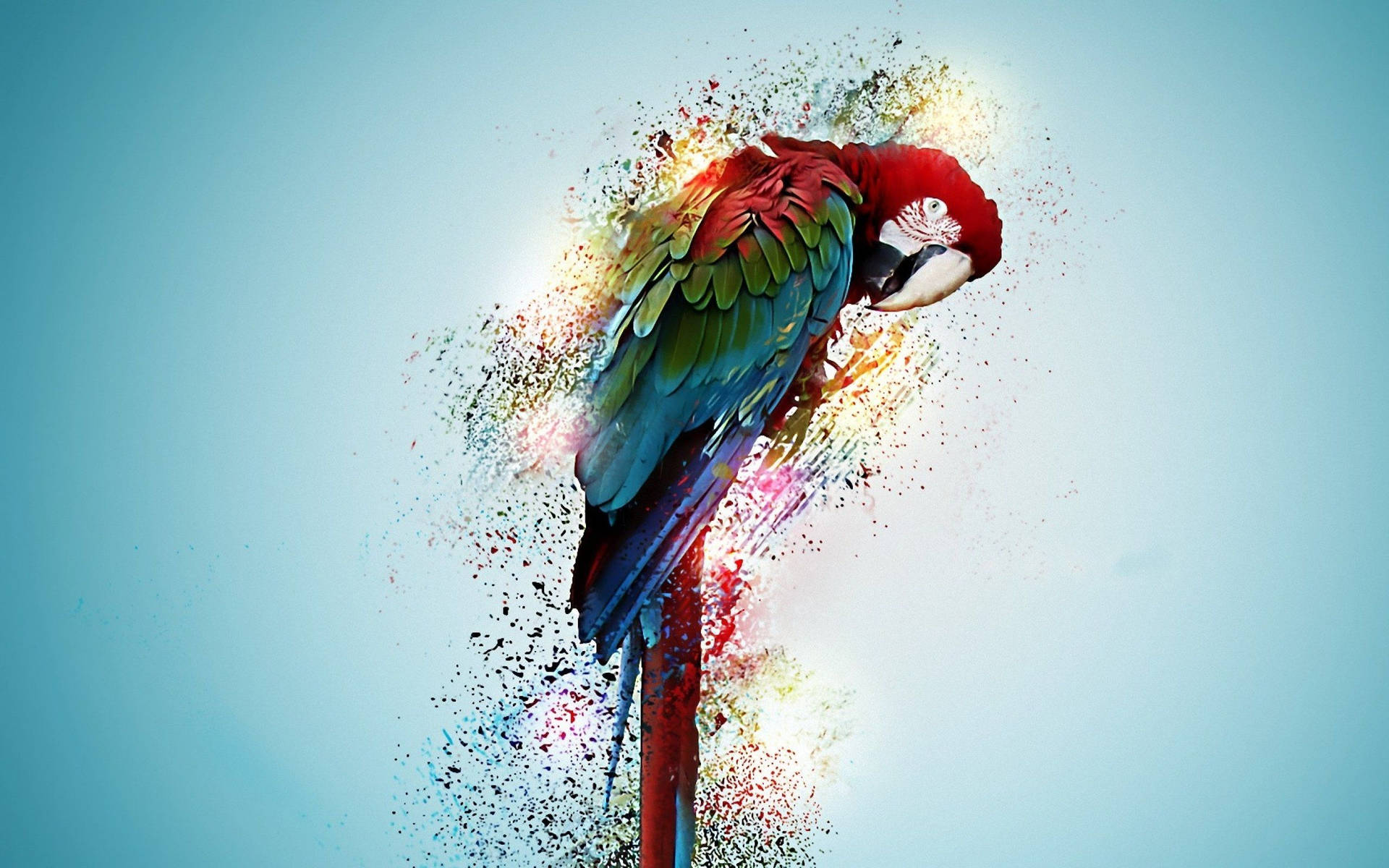 Psychedelic Art of colorful parrot fading away with glowing splashes of paint.