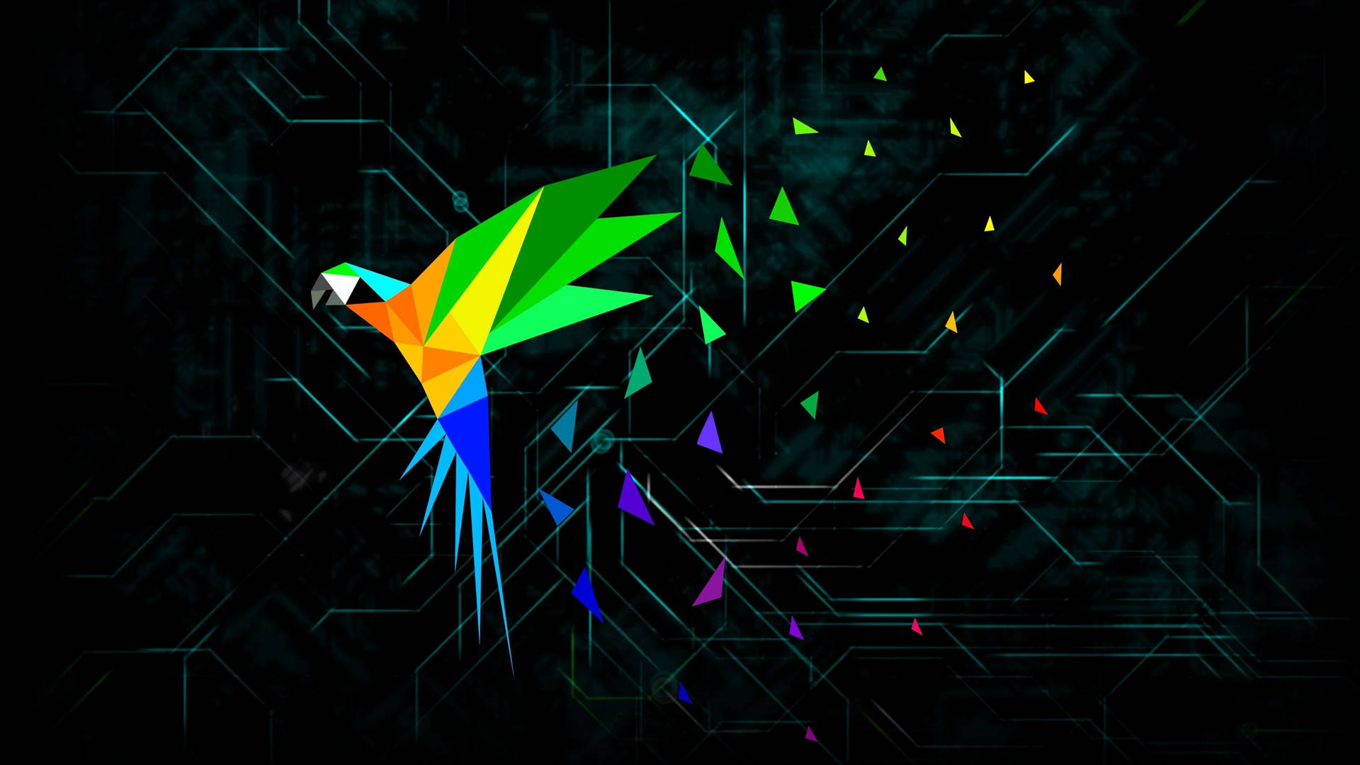 Parrot Linux Os Colorful Parrot Futuristic Background