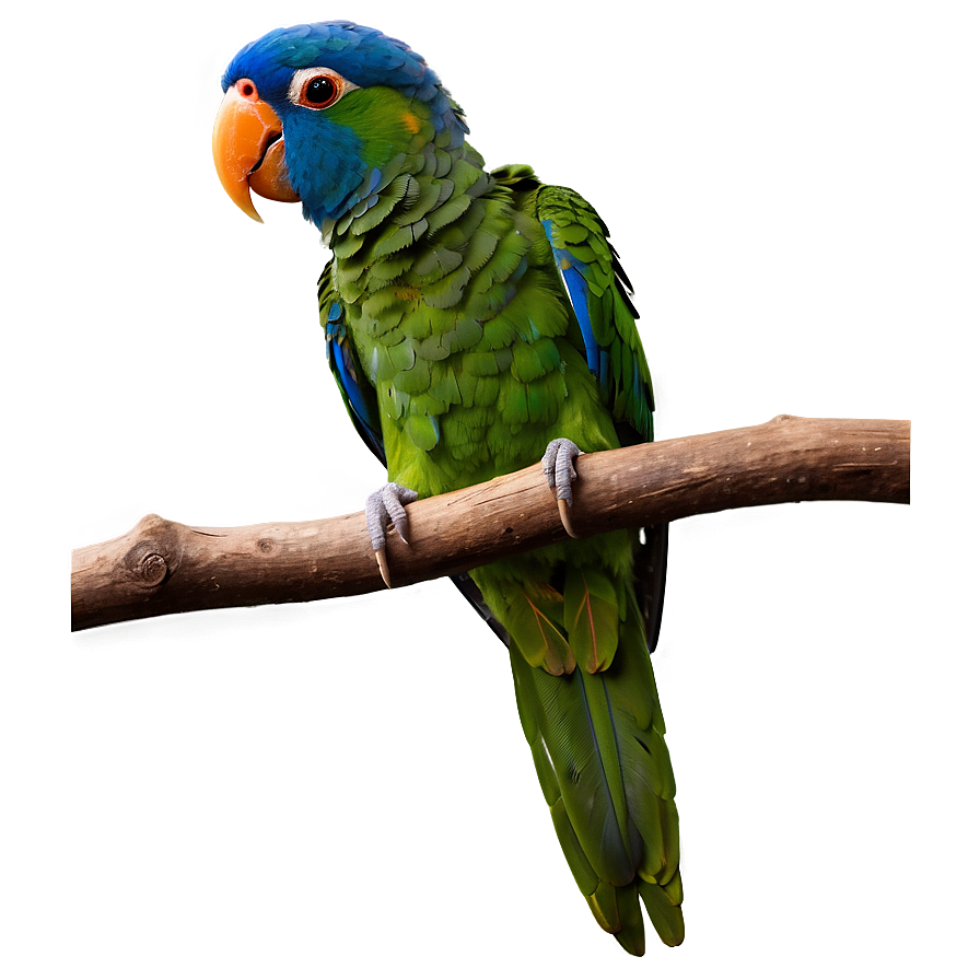 Parrot On Branch Png 05242024 PNG