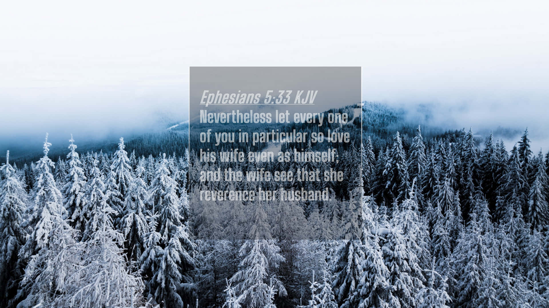 Particular Bible Quote Wallpaper