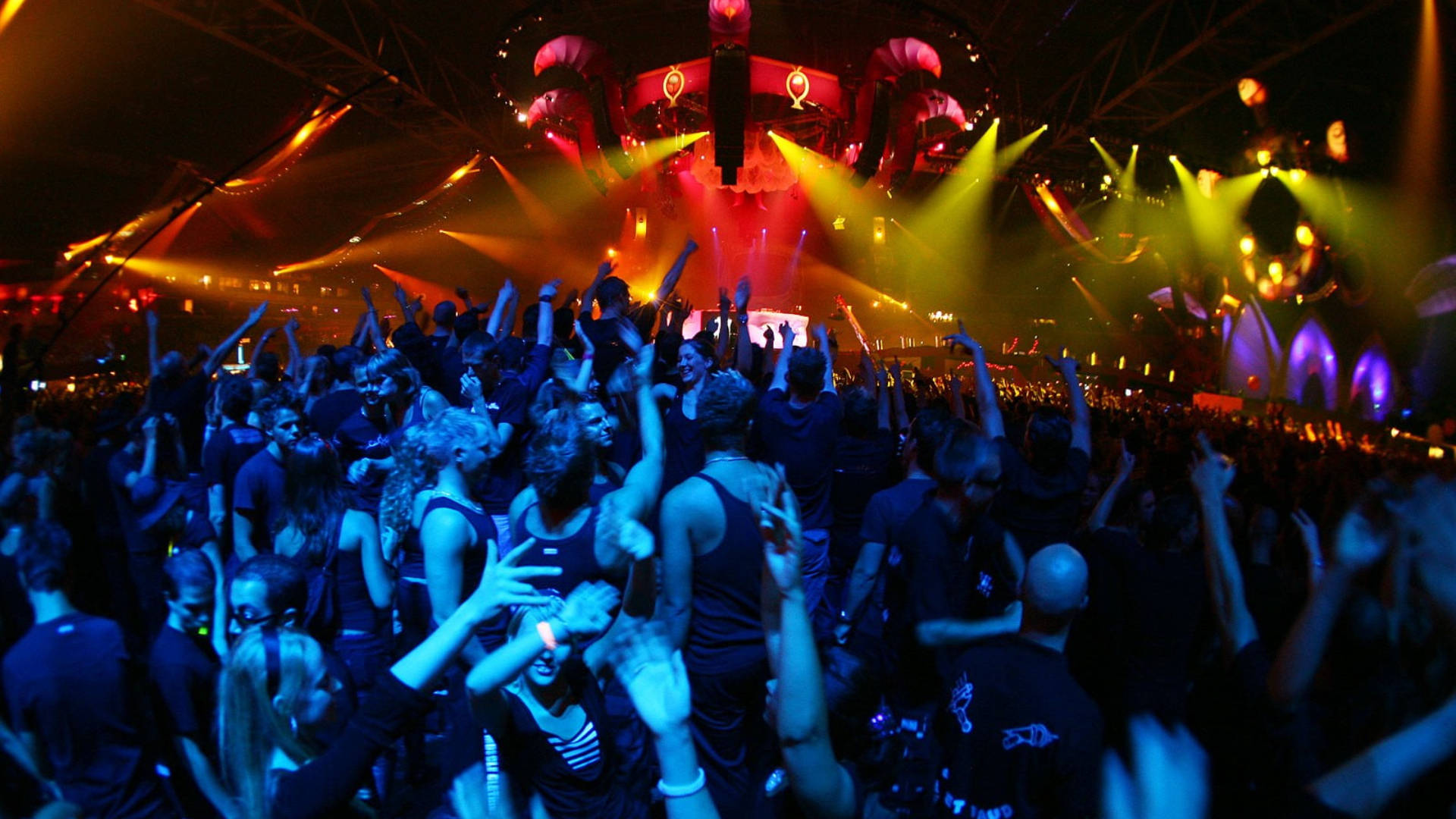 Party People At Concert Wallpaper