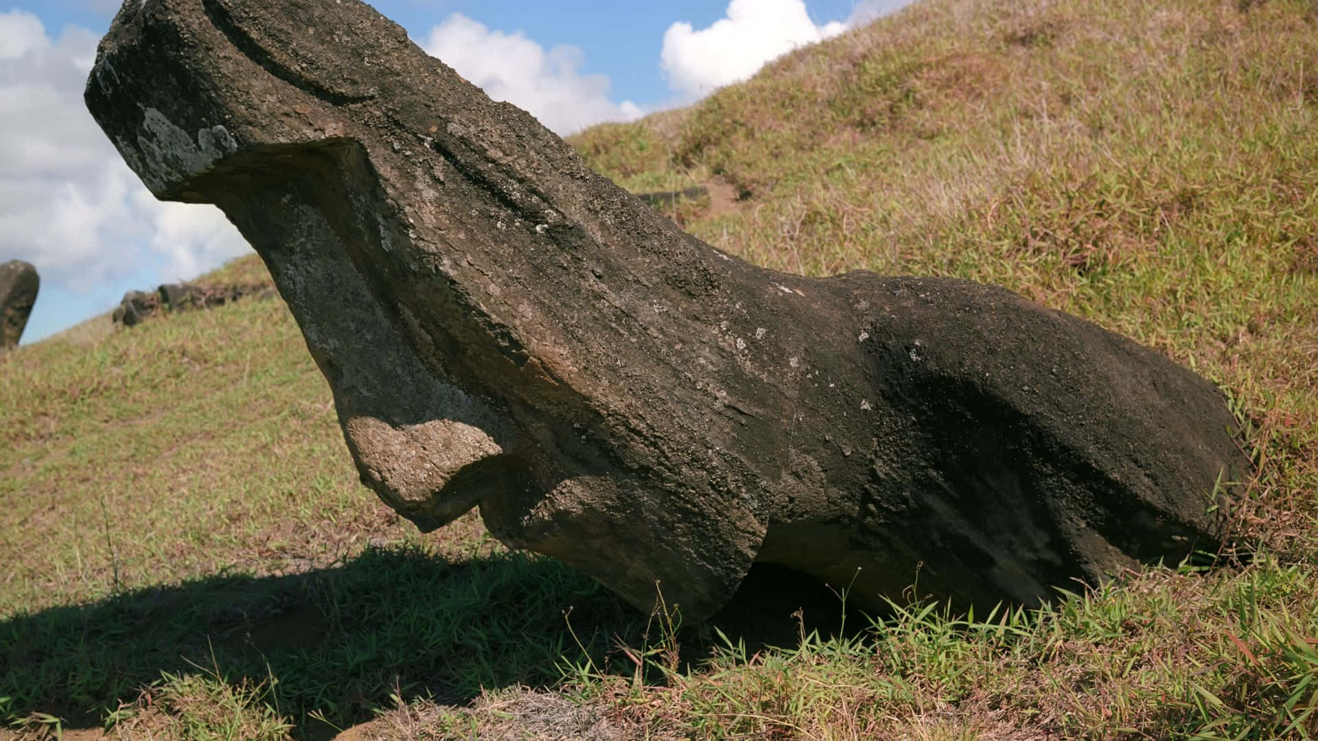 Easter Island Wallpaper — A massive ancient stone statue lies tilted on a grassy hill under a bright blue sky with fluffy clouds.