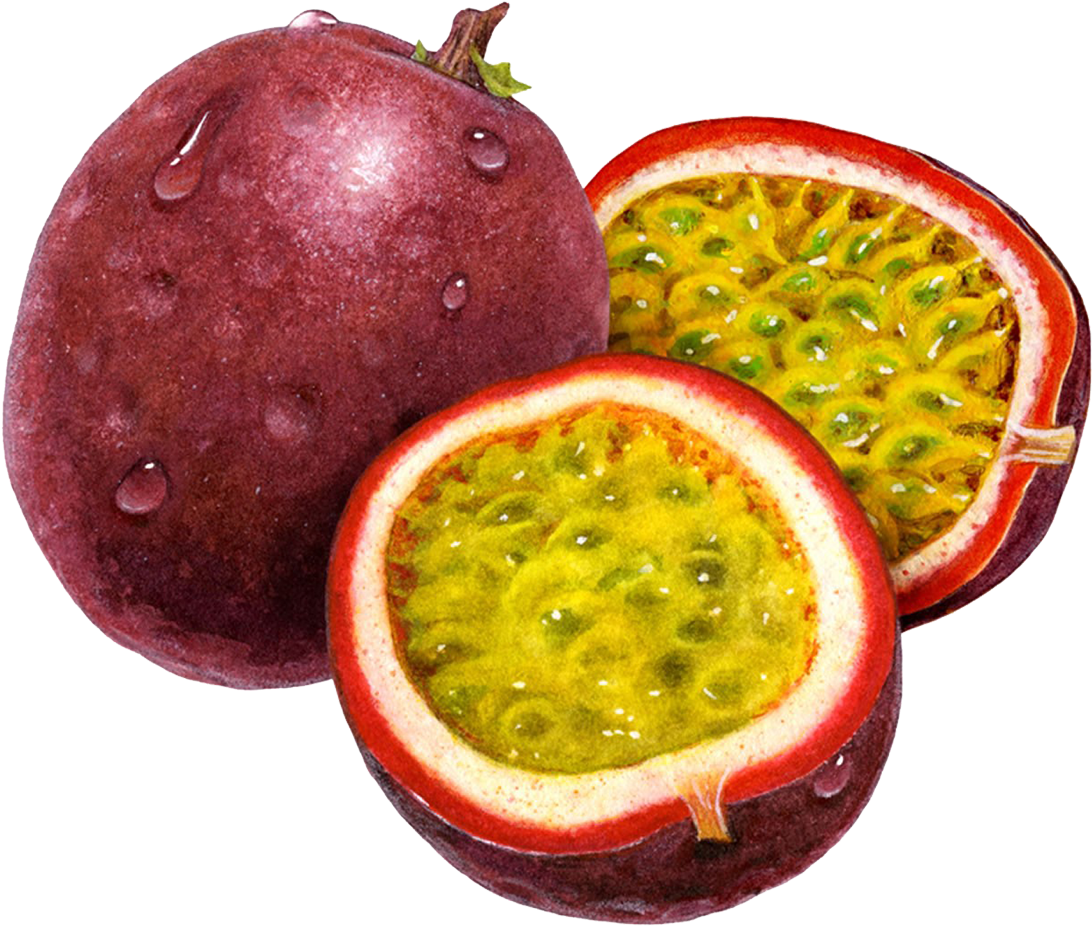 Passion Fruit Freshand Sliced.png PNG