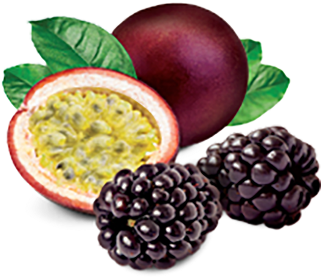 Passion Fruitand Blackberries Illustration PNG