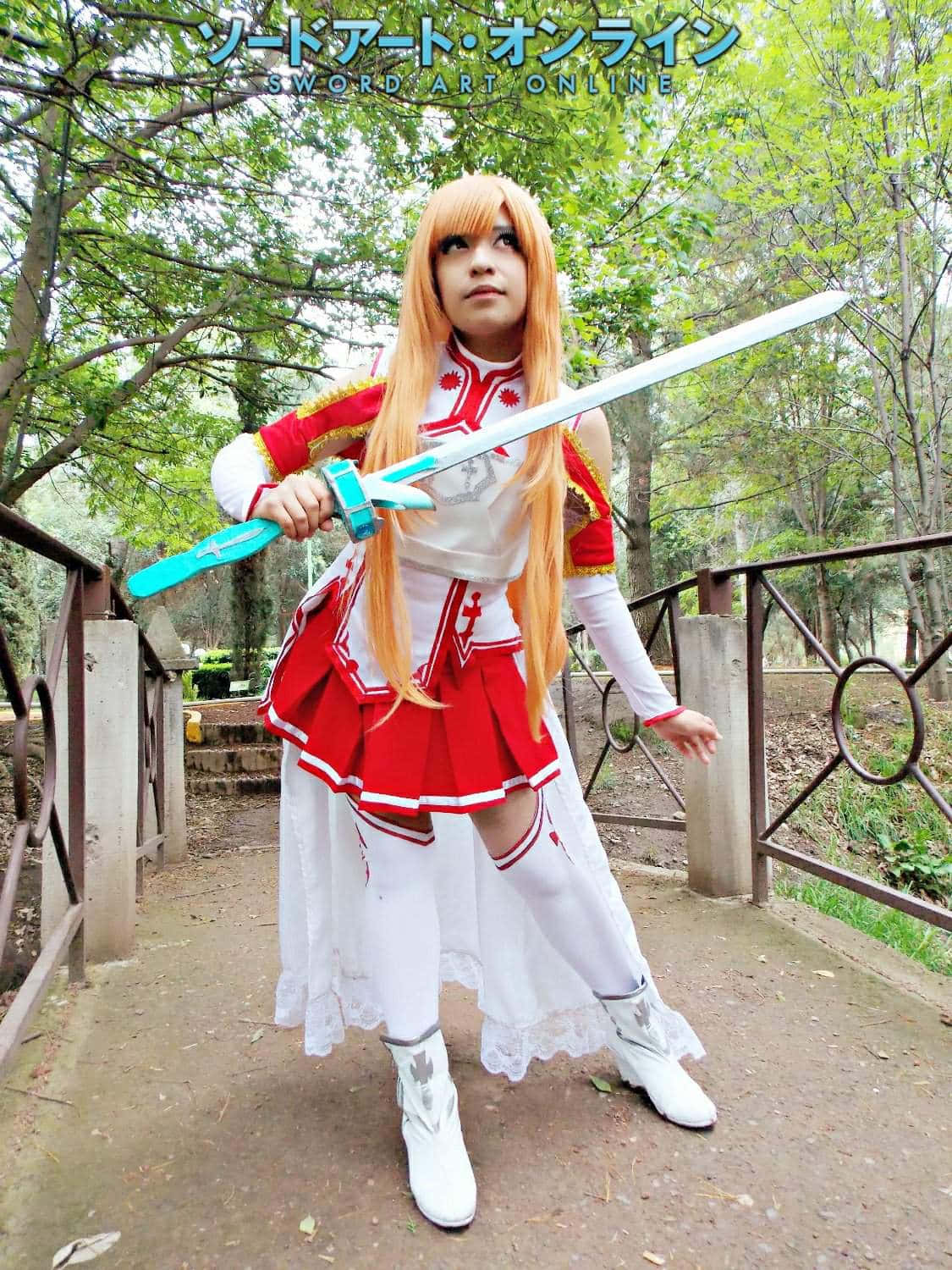 Passionate Fan Cosplaying As Sword Art Online Character Wallpaper