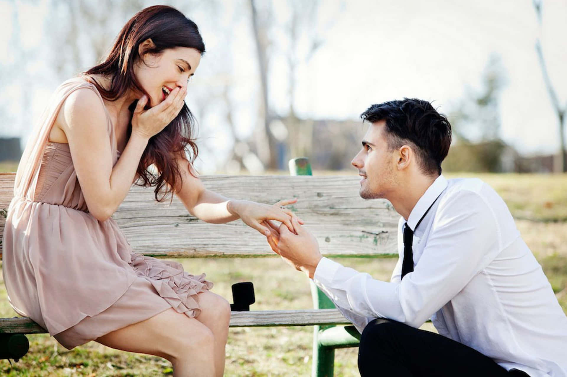 Passionate Marriage Proposal Wallpaper