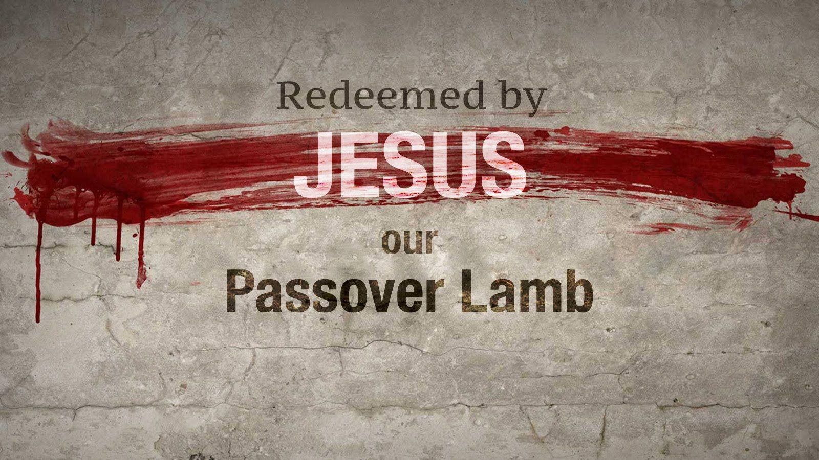 Passover Lamb Jesus Background