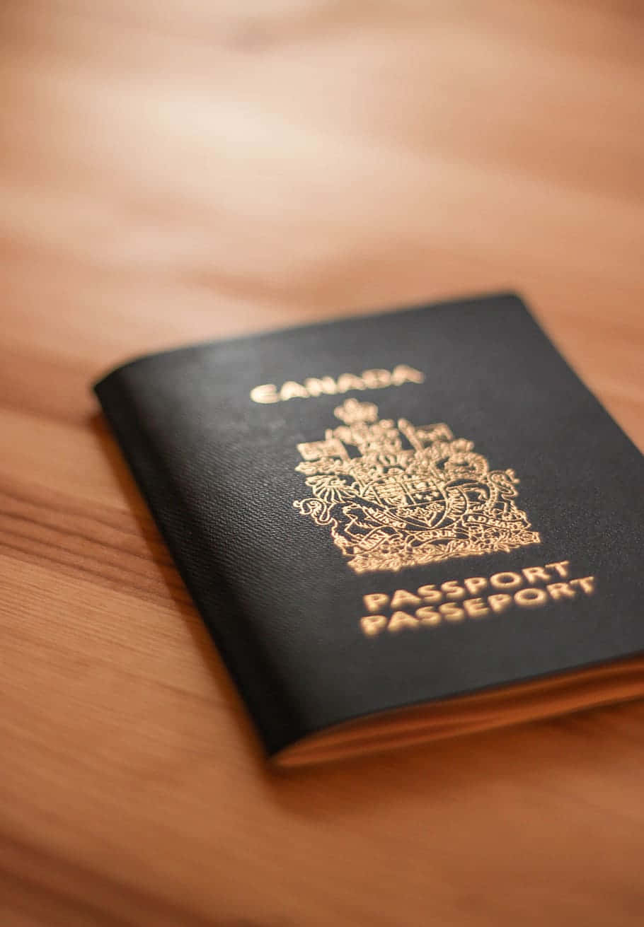 Conservain Tutta Sicurezza Il Tuo Passaporto In Questa Custodia Porta Passaporto.
