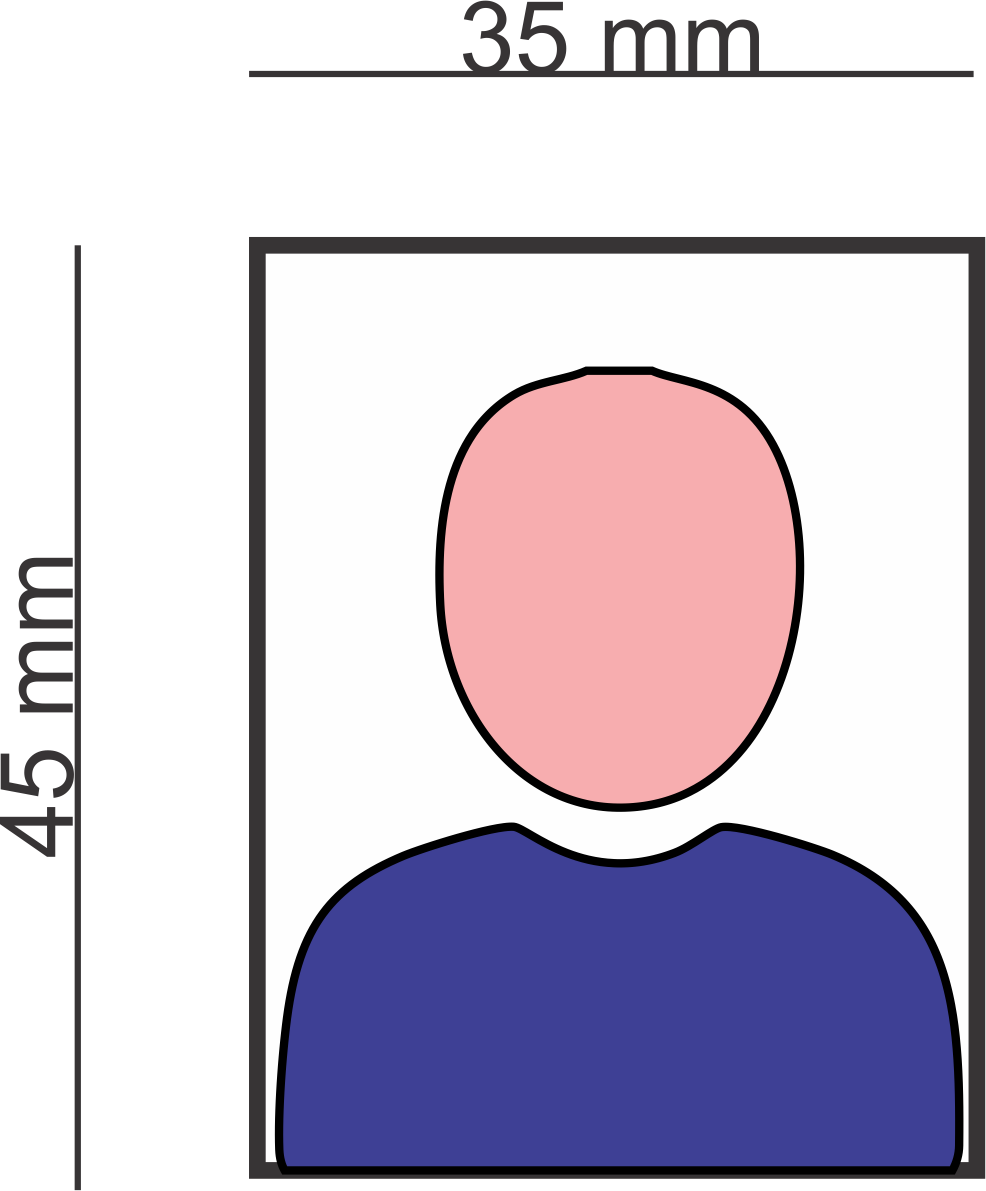 Passport Photo Dimensions Illustration PNG