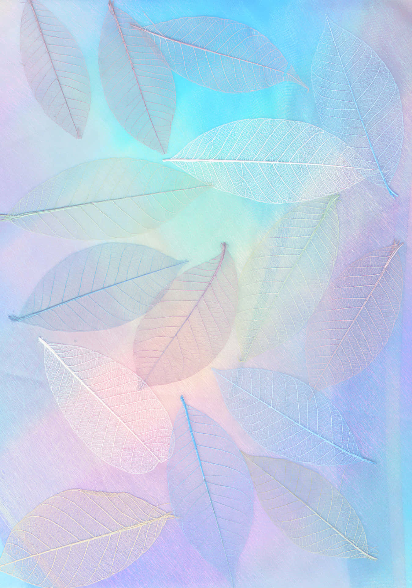 Abstract Pastel Painted Background