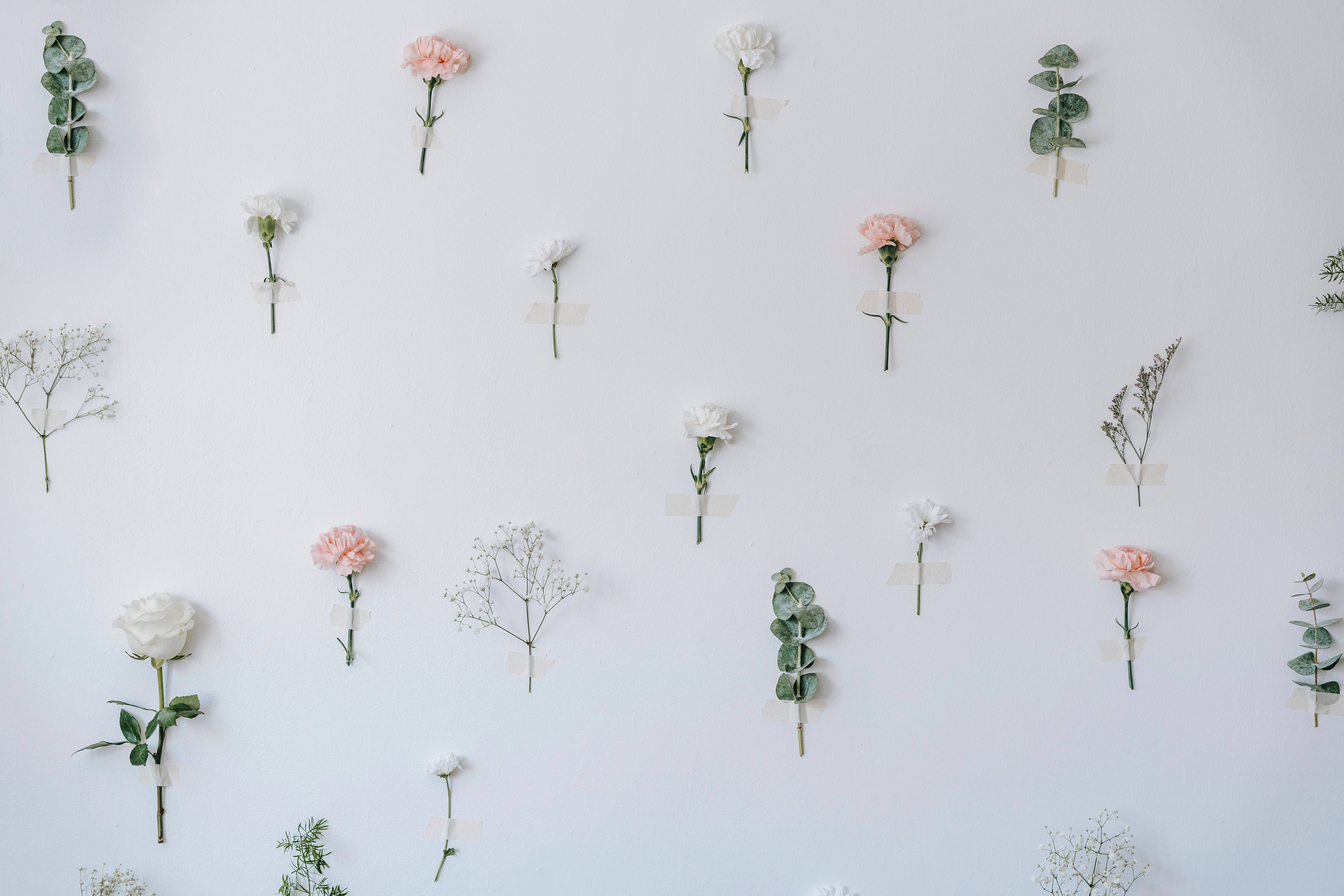 Pastel 4k Flowers Wallpaper
