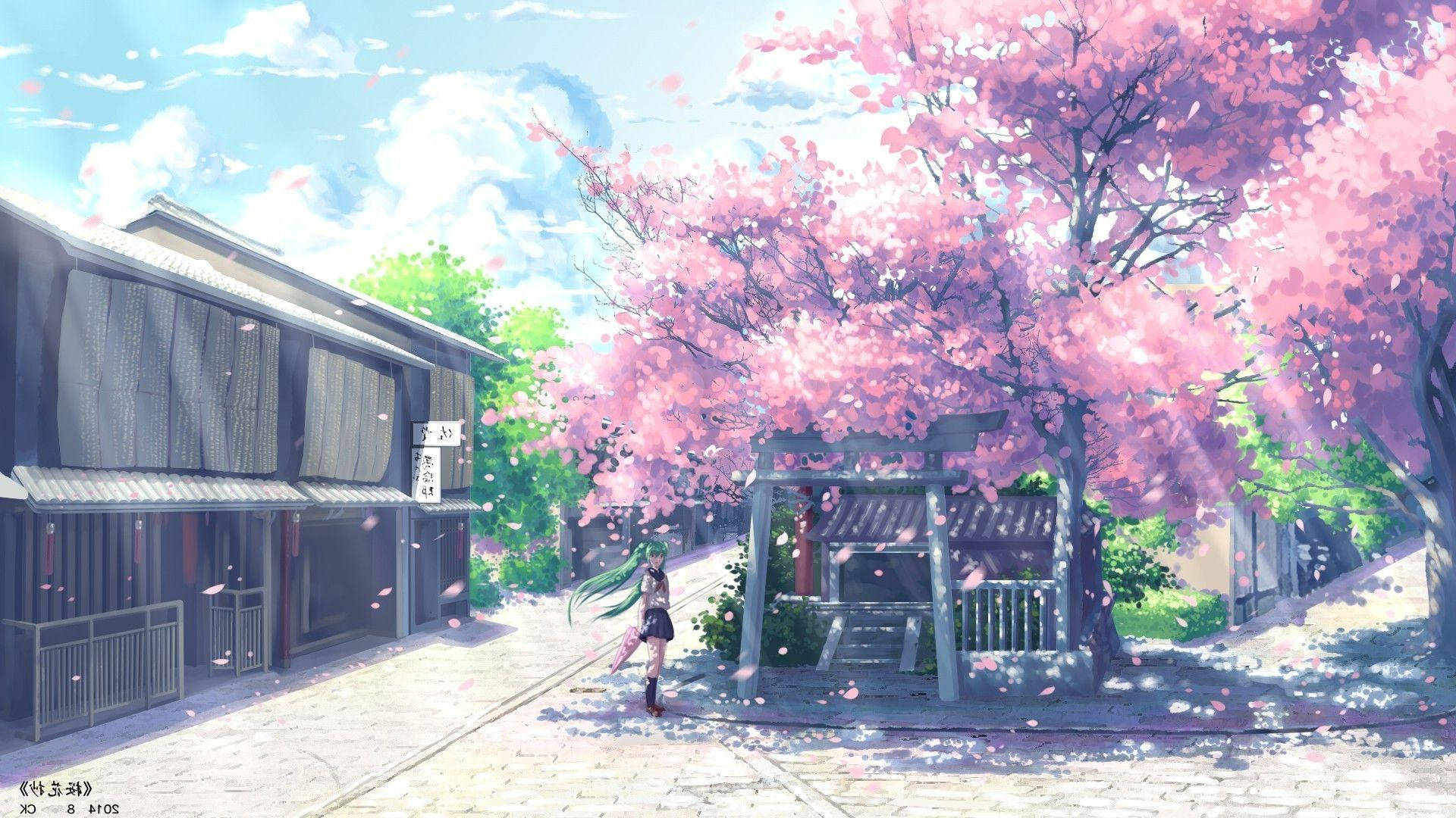 A Street With Pink Blossom Trees And A House Wallpaper