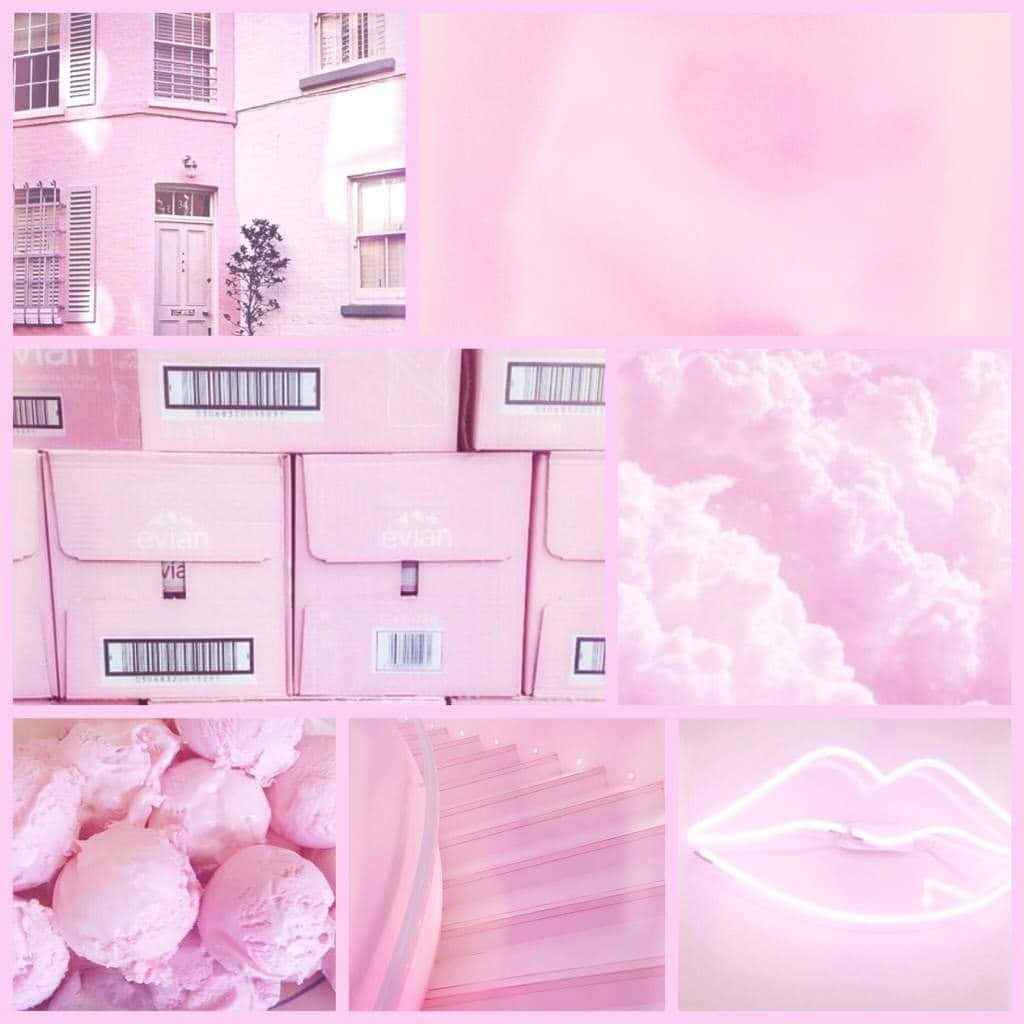 “Create a beautiful pastel look with dressed in pink and baby blue ”