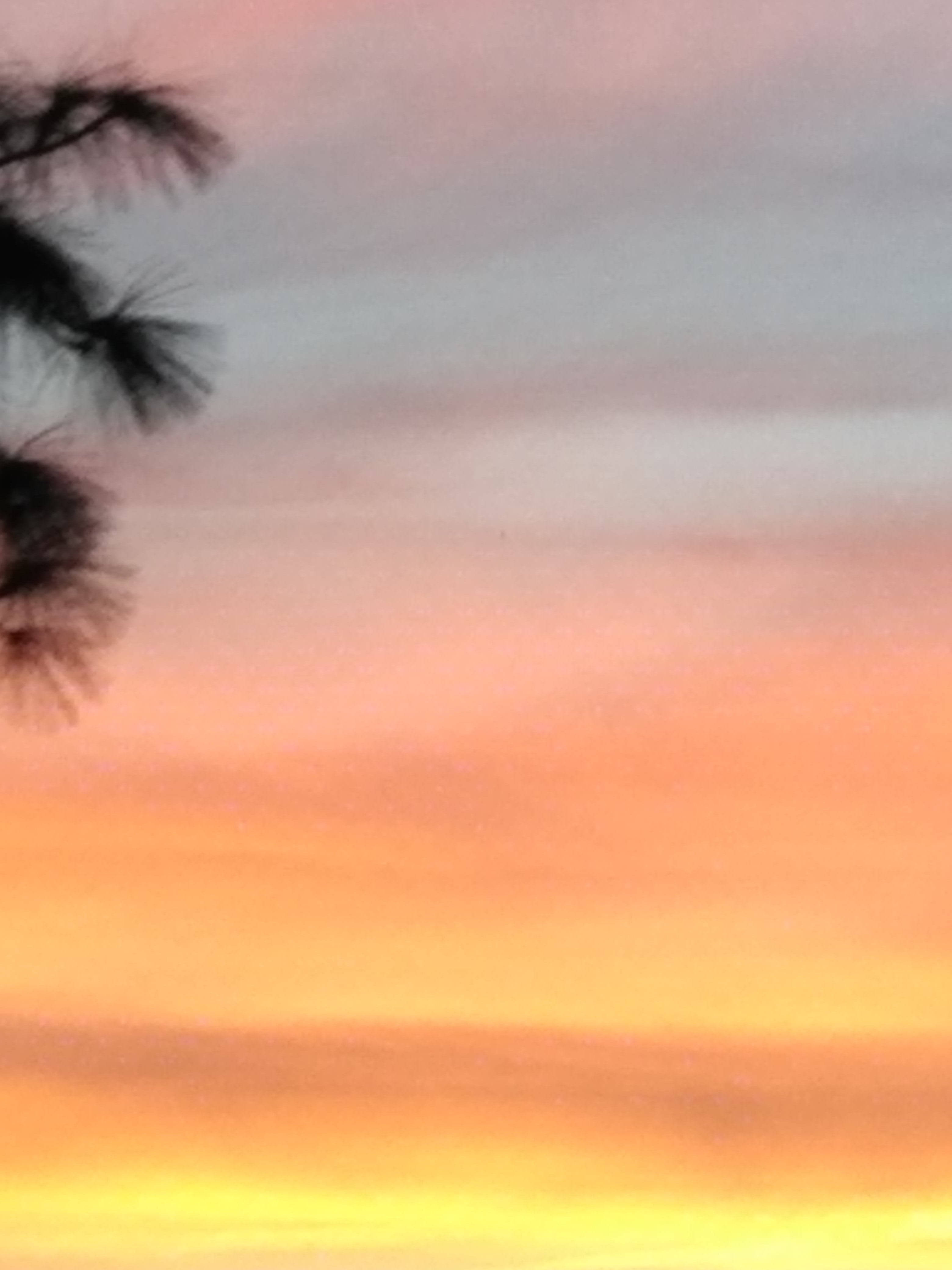 Pastel æstetisk solnedgangs himmel udsigts tapet Wallpaper