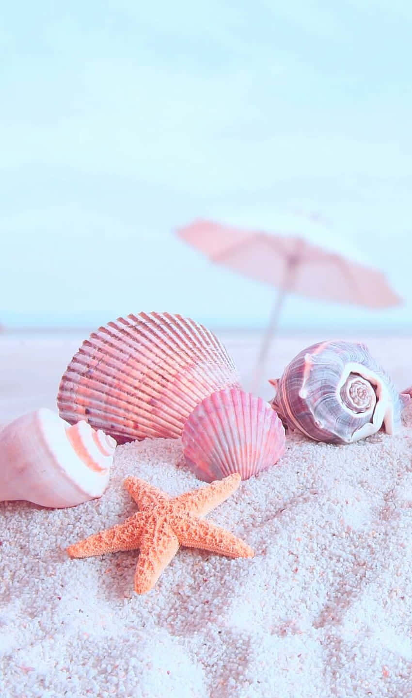 A Beach Scene With Shells And An Umbrella Wallpaper