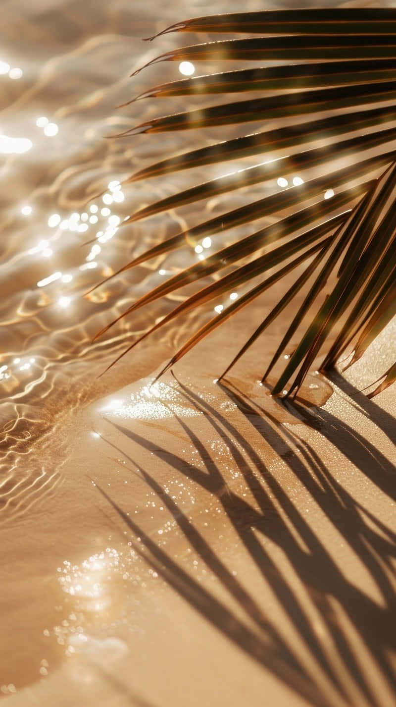 Pastel Beach Palm Shadow Sparkling Water.jpg Wallpaper