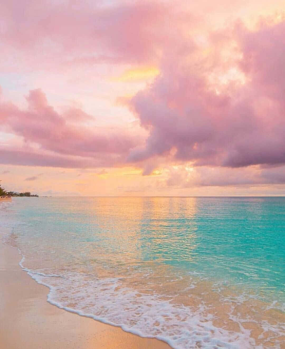En strand med en lyserød solnedgang og vand, der gnistrer. Wallpaper
