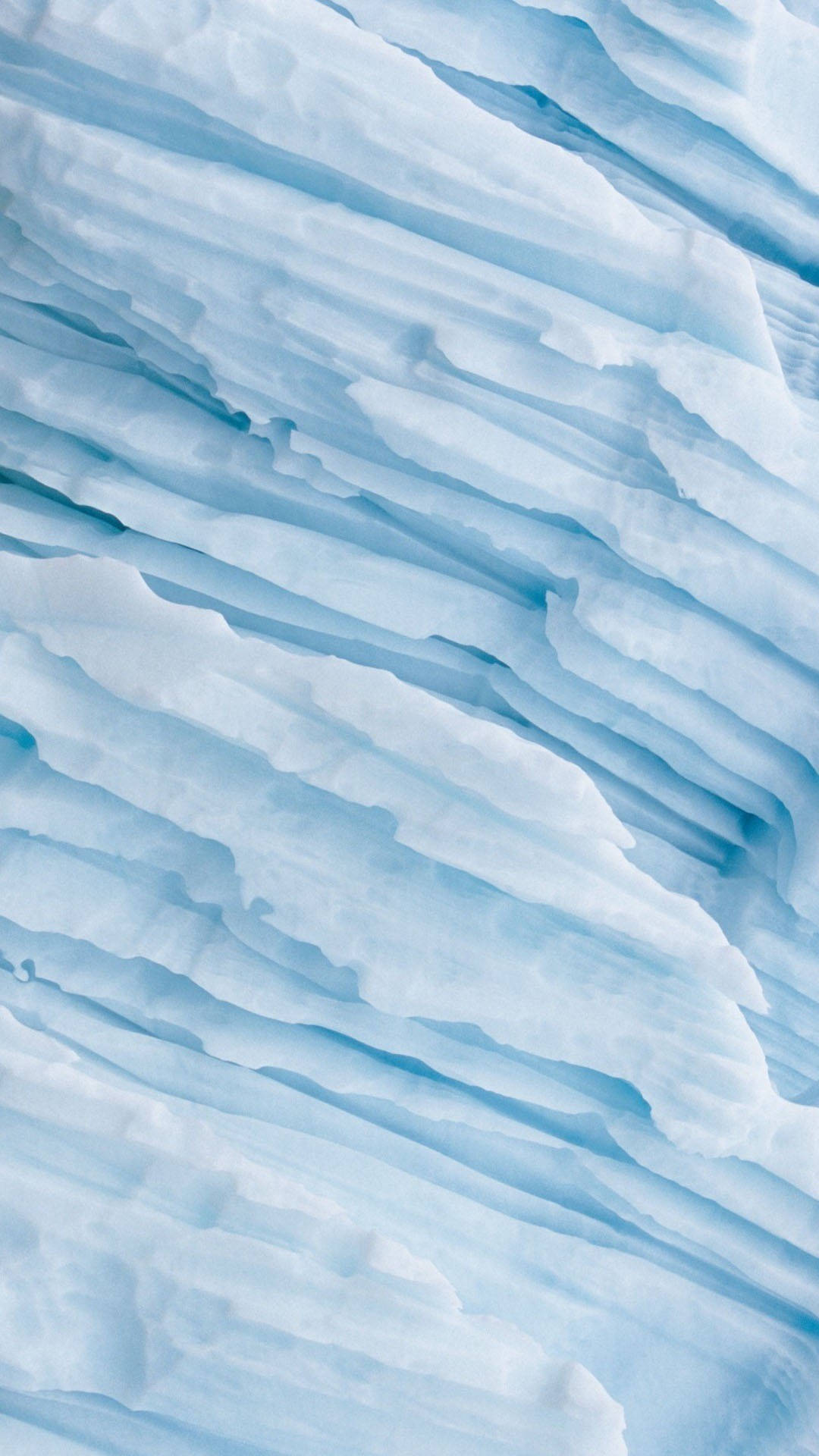 En polarræv står på et isbjerg Wallpaper