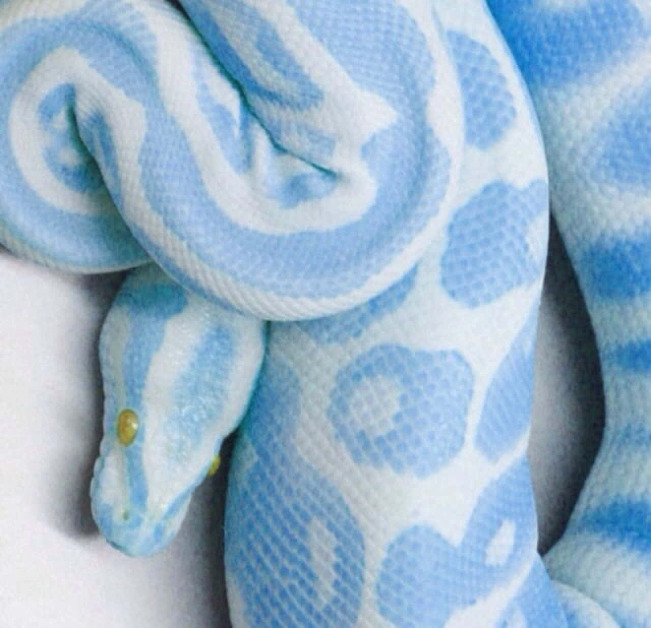 Snake In Pastel Blue Aesthetic Tumblr Wallpaper