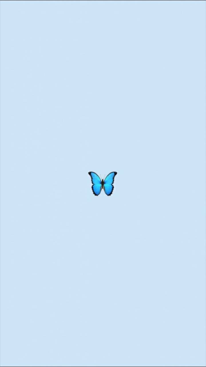 Pastel Blue Butterfly Vsco Cover Wallpaper