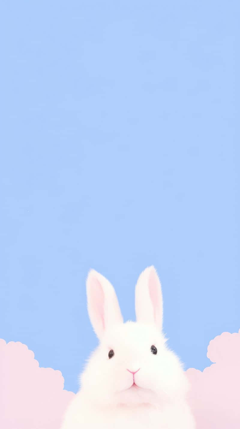 Pastel Bunny Clouds Aesthetic.jpg Wallpaper