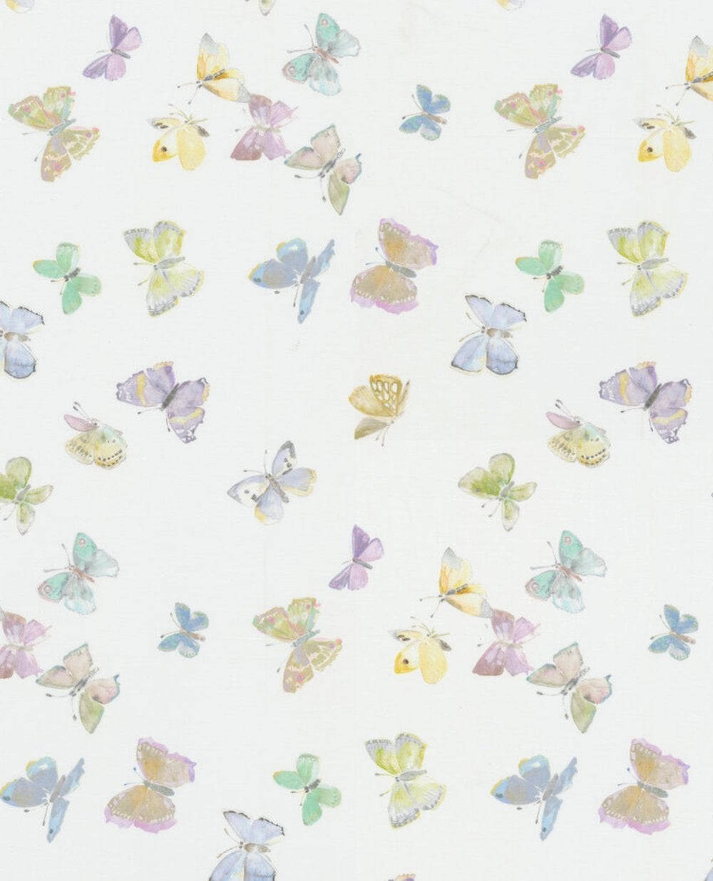Einweißer Hintergrund Mit Schmetterlingen Darauf Wallpaper