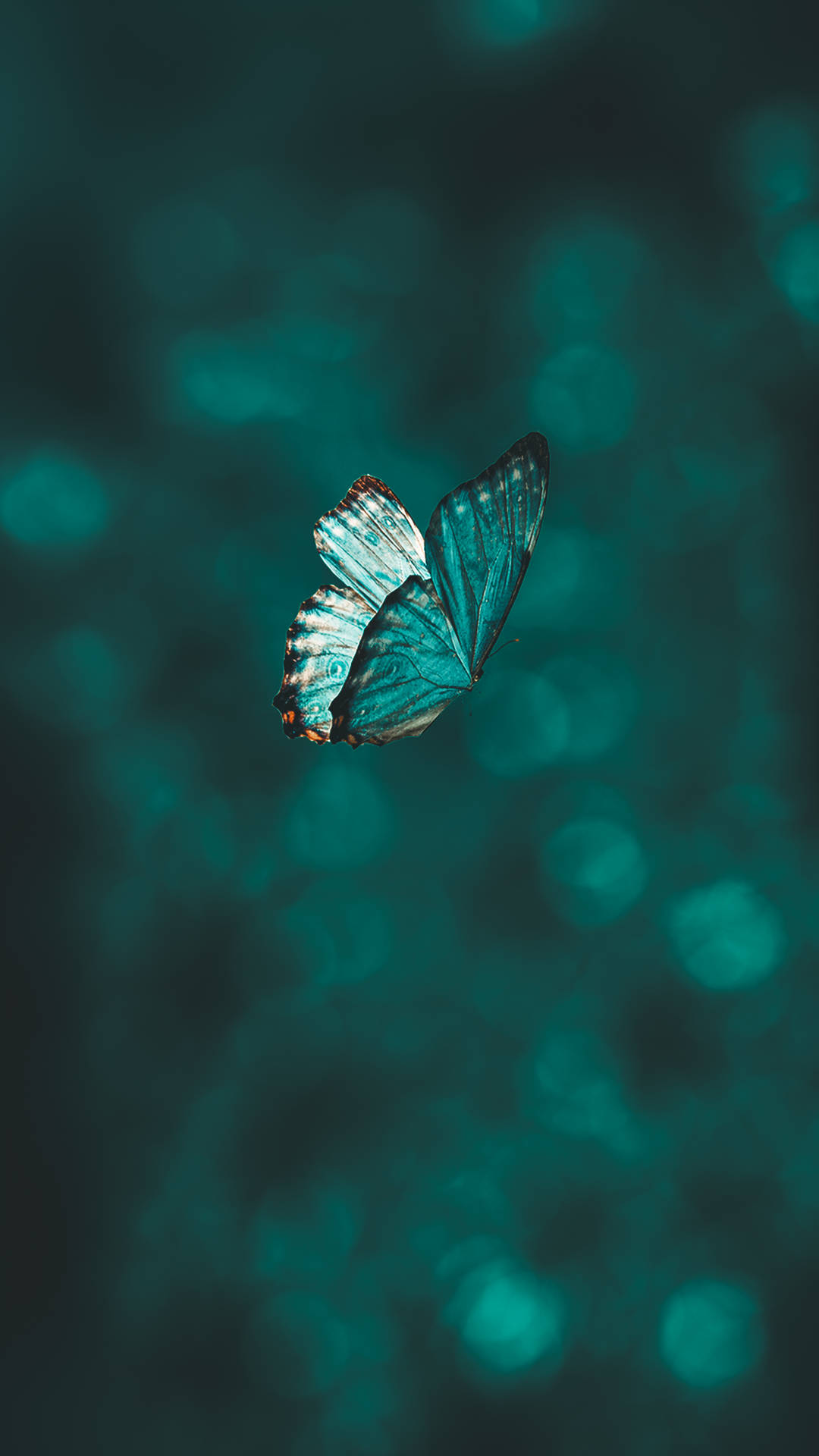 Flying Small Blue Pastel Butterfly Wallpaper