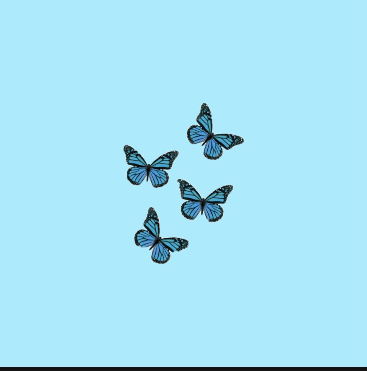 Four Small Blue Pastel Butterfly Wallpaper