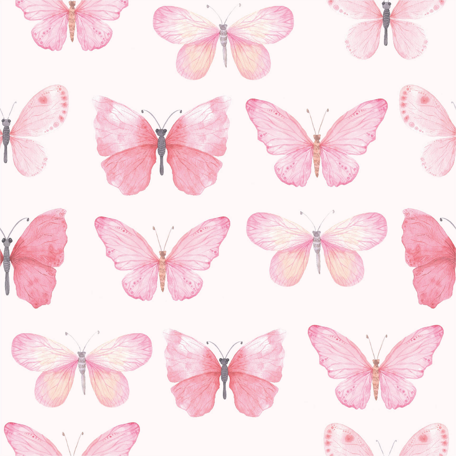Pastel Sommerfugle I Nuancer Af Rosa, Blå Og Lavendel Wallpaper