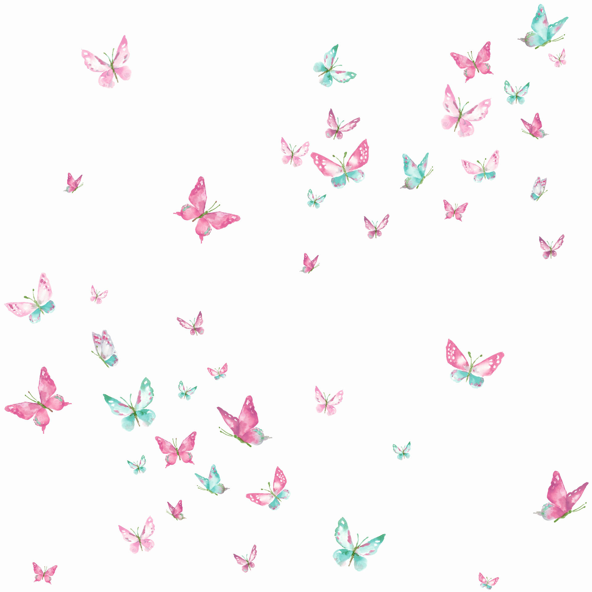 Green And Pink Pastel Butterflies Wallpaper