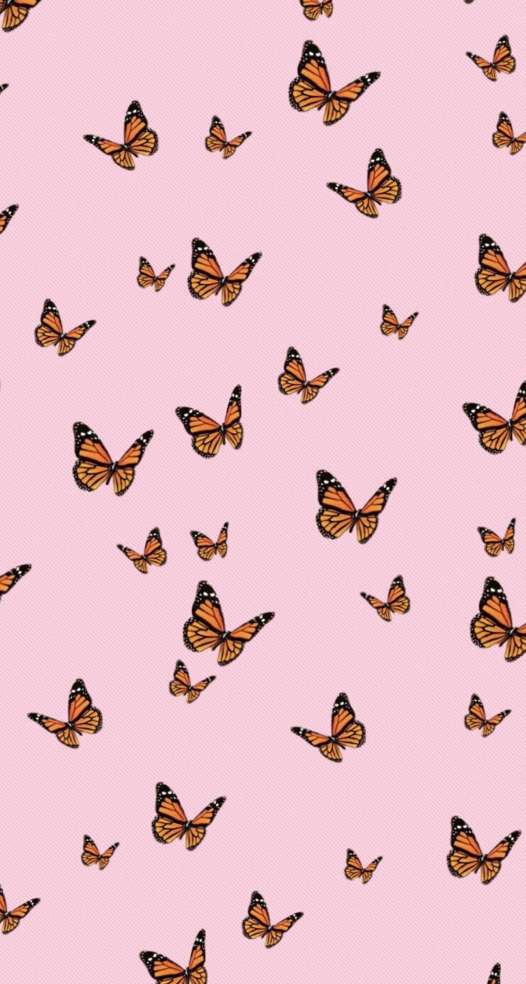 Søde rosa pastelfarvede sommerfuglemønstre Wallpaper