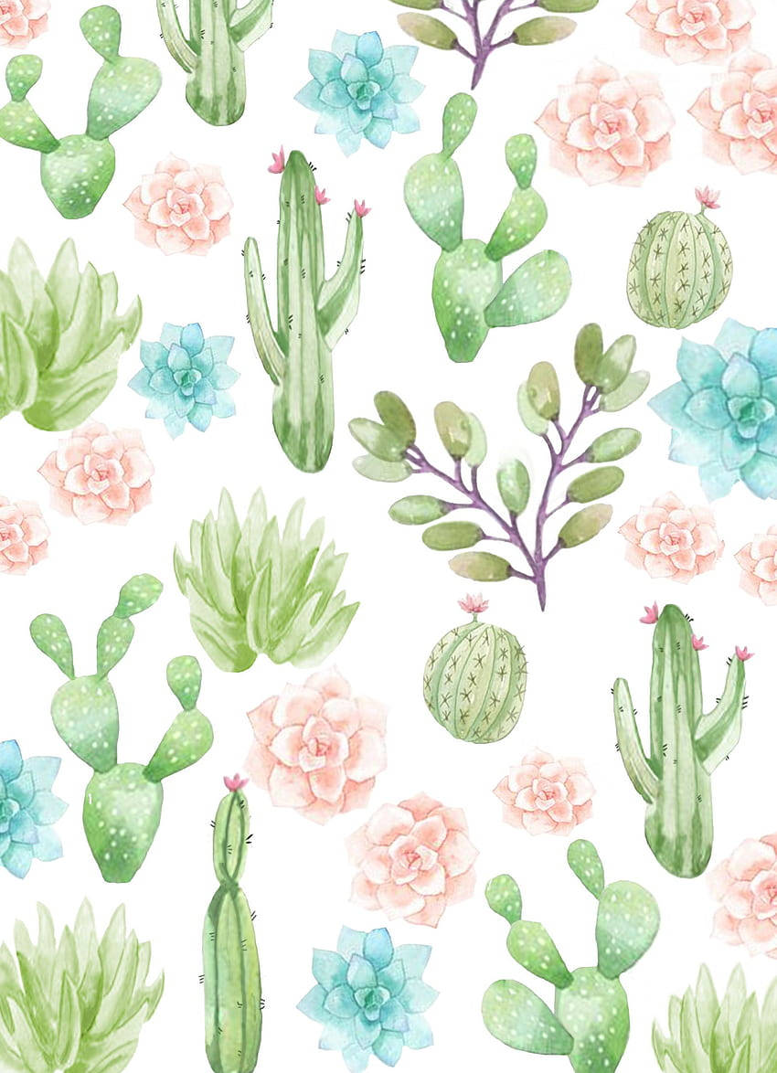 Pastel Cactus Cute Pink Flowers Mobile Wallpaper