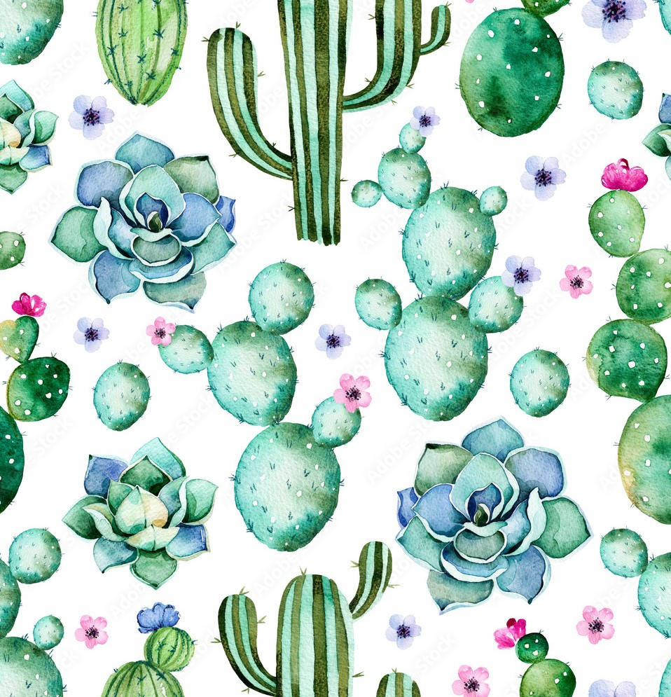 Pastel Cactus Flowers And Pattern Wall Art Wallpaper