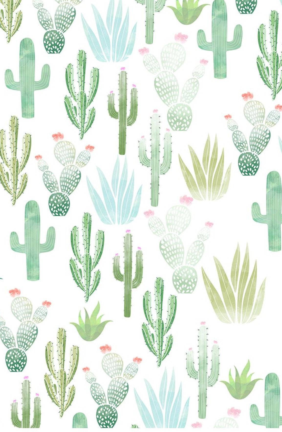Pastel Cactus Patter Design Mobile Wallpaper